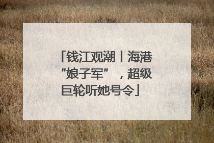 钱江观潮丨海港“娘子军”，超级巨轮听她号令