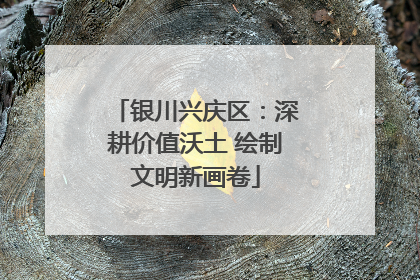 银川兴庆区：深耕价值沃土 绘制文明新画卷