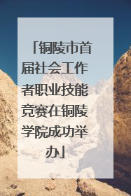铜陵市首届社会工作者职业技能竞赛在铜陵学院成功举办