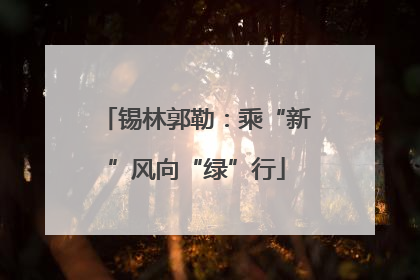 锡林郭勒：乘“新”风向“绿”行