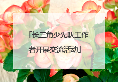 长三角少先队工作者开展交流活动
