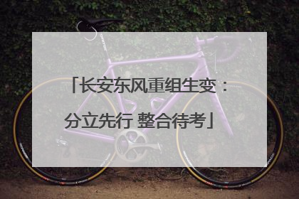 长安东风重组生变：分立先行 整合待考