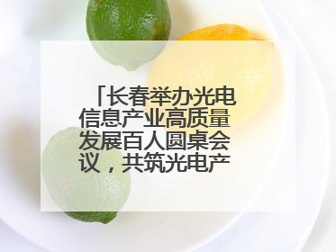 长春举办光电信息产业高质量发展百人圆桌会议，共筑光电产业创新生态