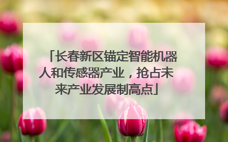 长春新区锚定智能机器人和传感器产业，抢占未来产业发展制高点