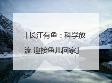 长江有鱼：科学放流 迎接鱼儿回家