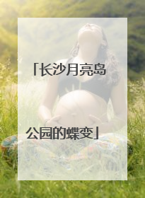 长沙月亮岛公园的蝶变
