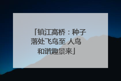 镇江高桥：种子落处飞鸟至 人鸟和谐趣景来