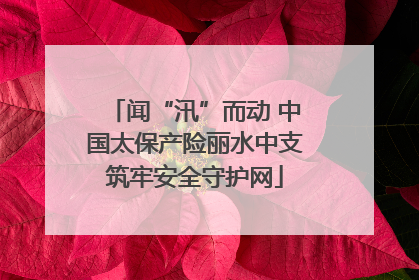 闻“汛”而动 中国太保产险丽水中支筑牢安全守护网
