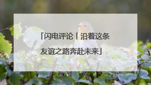 闪电评论丨沿着这条友谊之路奔赴未来