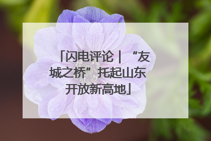 闪电评论｜“友城之桥”托起山东开放新高地