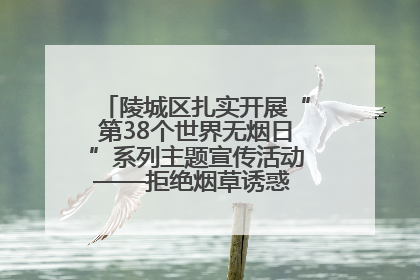 陵城区扎实开展“第38个世界无烟日”系列主题宣传活动——拒绝烟草诱惑 对第一支烟说不