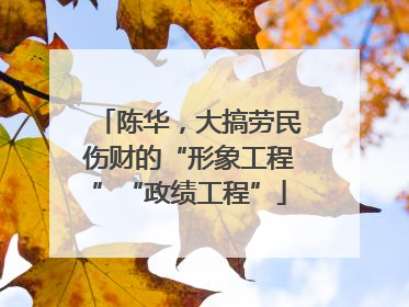 陈华，大搞劳民伤财的“形象工程”“政绩工程”