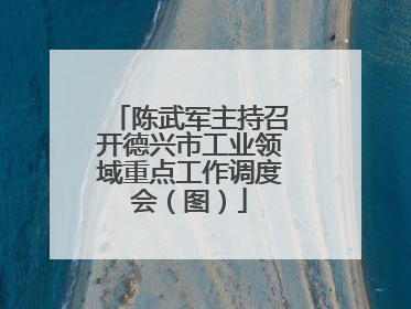 陈武军主持召开德兴市工业领域重点工作调度会（图）