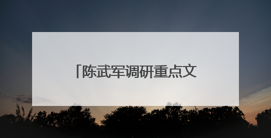 陈武军调研重点文旅项目推进情况