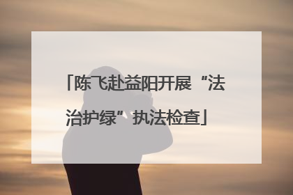 陈飞赴益阳开展“法治护绿”执法检查