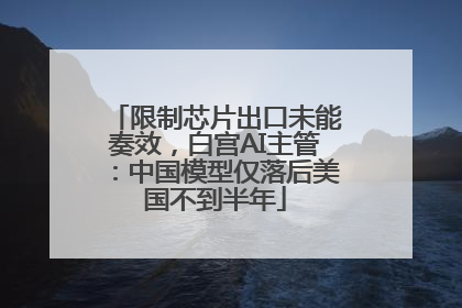 限制芯片出口未能奏效，白宫AI主管：中国模型仅落后美国不到半年