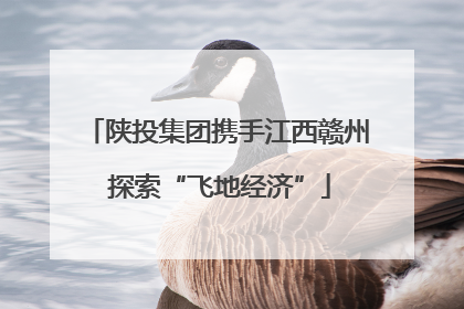陕投集团携手江西赣州 探索“飞地经济”