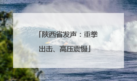 陕西省发声：重拳出击、高压震慑