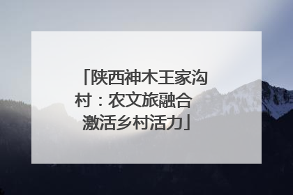 陕西神木王家沟村：农文旅融合 激活乡村活力