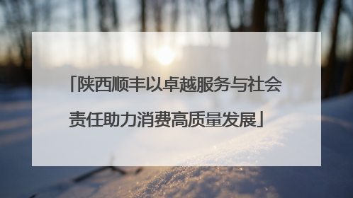 陕西顺丰以卓越服务与社会责任助力消费高质量发展
