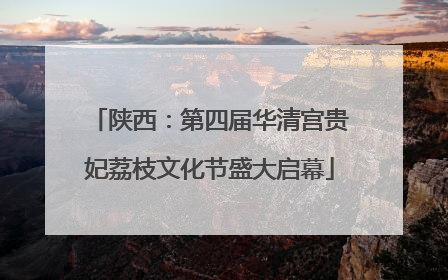 陕西：第四届华清宫贵妃荔枝文化节盛大启幕