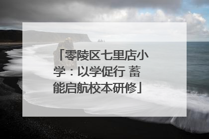 零陵区七里店小学：以学促行 蓄能启航校本研修