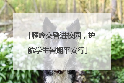 雁峰交警进校园，护航学生暑期平安行