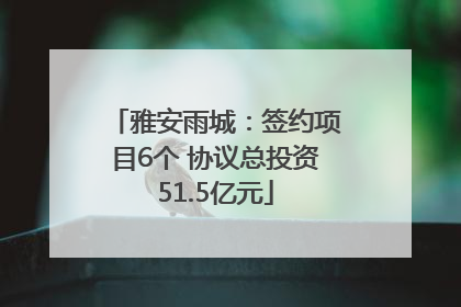 雅安雨城：签约项目6个 协议总投资51.5亿元