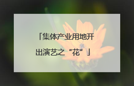 集体产业用地开出演艺之“花”
