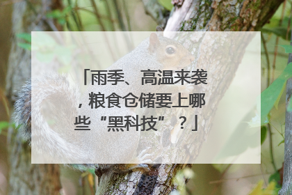 雨季、高温来袭，粮食仓储要上哪些“黑科技”？