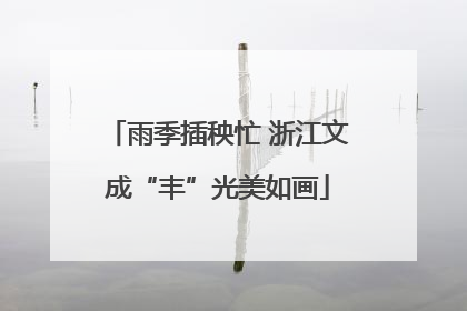 雨季插秧忙 浙江文成“丰”光美如画