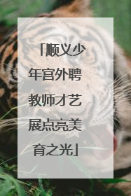 顺义少年宫外聘教师才艺展点亮美育之光