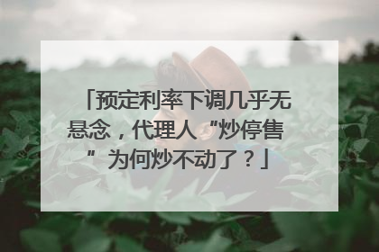 预定利率下调几乎无悬念，代理人“炒停售”为何炒不动了？