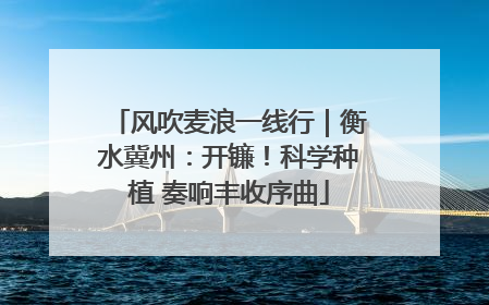 风吹麦浪一线行｜衡水冀州：开镰！科学种植 奏响丰收序曲