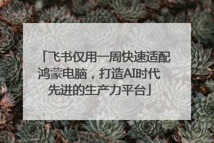 飞书仅用一周快速适配鸿蒙电脑，打造AI时代先进的生产力平台