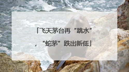 飞天茅台再“跳水”，“蛇茅”跌出新低