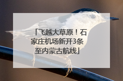 飞越大草原！石家庄机场新开3条至内蒙古航线