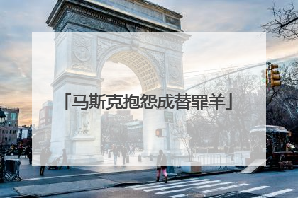 马斯克抱怨成替罪羊
