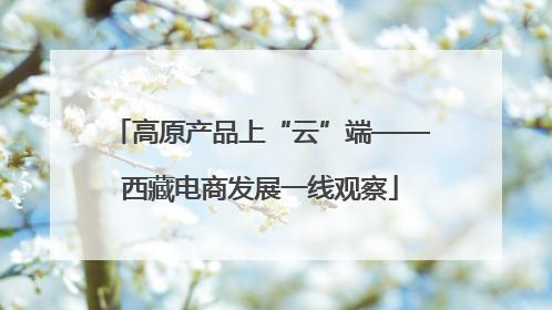 高原产品上“云”端——西藏电商发展一线观察