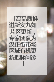 高品质推进新安九如片区更新，专家团队为汉正街市场区域有机更新把脉问诊