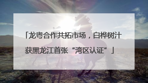龙粤合作共拓市场，白桦树汁获黑龙江首张“湾区认证”