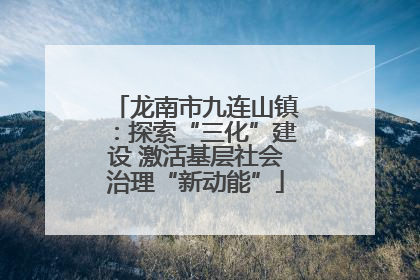 龙南市九连山镇：探索“三化”建设 激活基层社会治理“新动能”