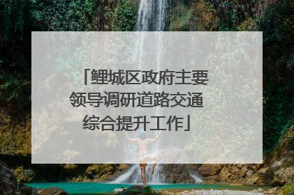 鲤城区政府主要领导调研道路交通综合提升工作