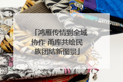 鸿雁传情到全域协作 甬库共绘民族团结新图景