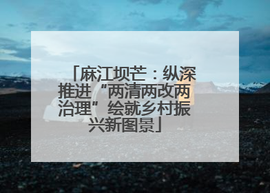 麻江坝芒：纵深推进“两清两改两治理”绘就乡村振兴新图景