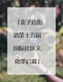 麦子店街道第十五届国际社区文化季启幕