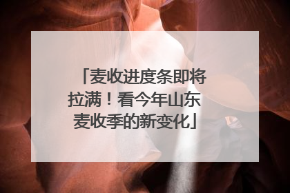 麦收进度条即将拉满！看今年山东麦收季的新变化