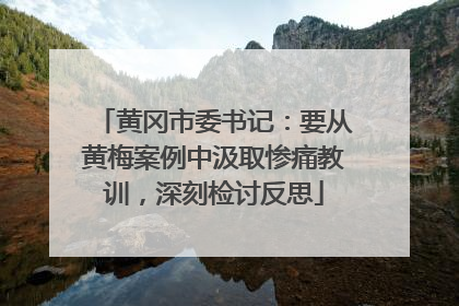 黄冈市委书记：要从黄梅案例中汲取惨痛教训，深刻检讨反思