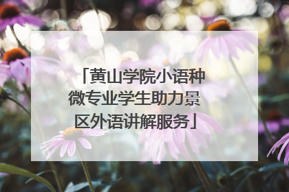 黄山学院小语种微专业学生助力景区外语讲解服务