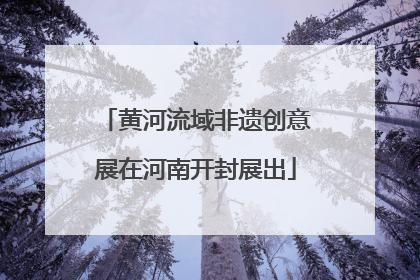 黄河流域非遗创意展在河南开封展出